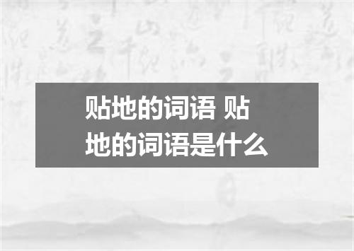 贴地的词语 贴地的词语是什么
