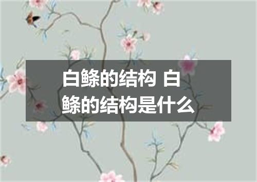 白鲦的结构 白鲦的结构是什么