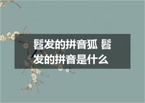 髫发的拼音狐 髫发的拼音是什么