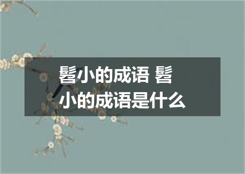 髫小的成语 髫小的成语是什么