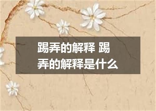 踢弄的解释 踢弄的解释是什么