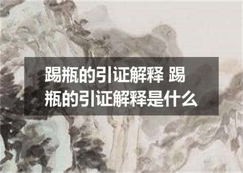 踢瓶的引证解释 踢瓶的引证解释是什么