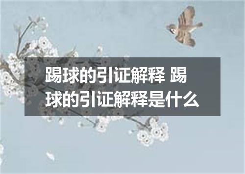 踢球的引证解释 踢球的引证解释是什么