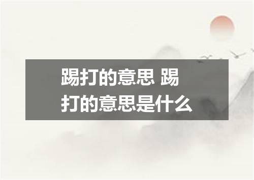踢打的意思 踢打的意思是什么