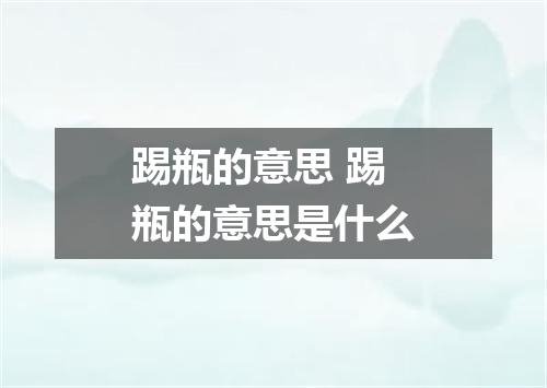 踢瓶的意思 踢瓶的意思是什么