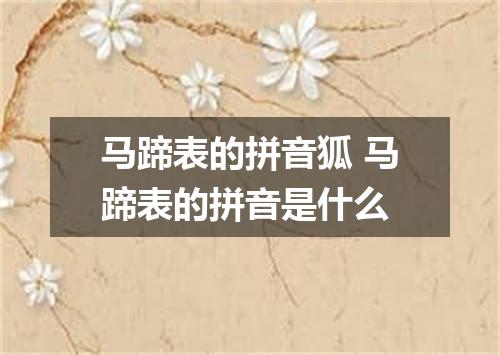 马蹄表的拼音狐 马蹄表的拼音是什么