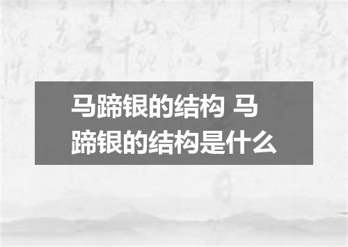 马蹄银的结构 马蹄银的结构是什么