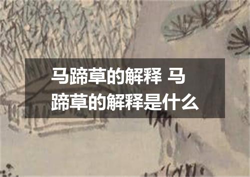 马蹄草的解释 马蹄草的解释是什么