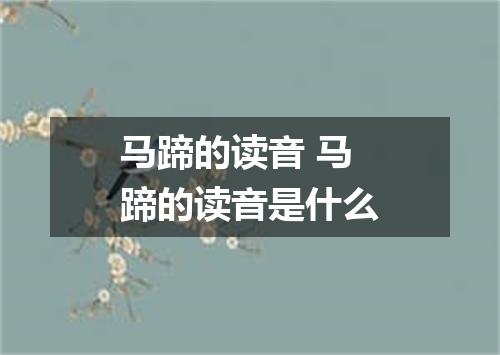 马蹄的读音 马蹄的读音是什么
