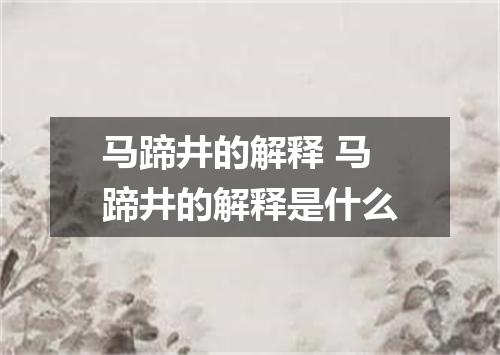 马蹄井的解释 马蹄井的解释是什么