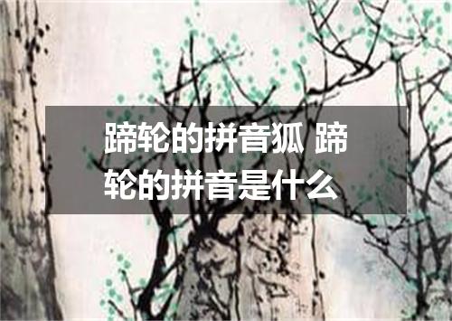 蹄轮的拼音狐 蹄轮的拼音是什么