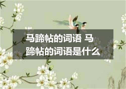 马蹄帖的词语 马蹄帖的词语是什么