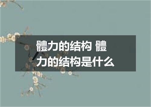 體力的结构 體力的结构是什么