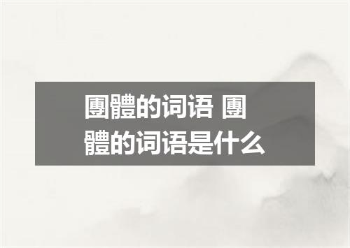 團體的词语 團體的词语是什么