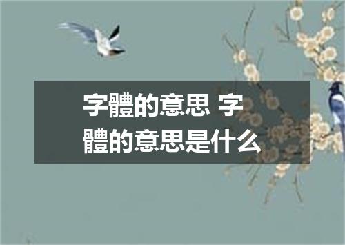 字體的意思 字體的意思是什么