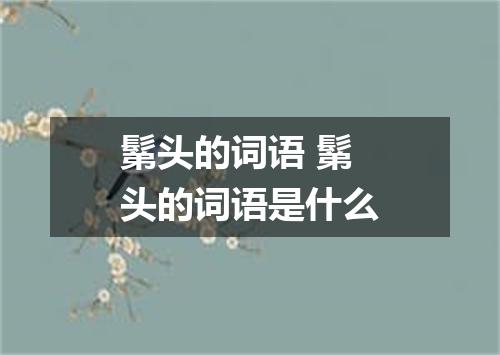鬀头的词语 鬀头的词语是什么