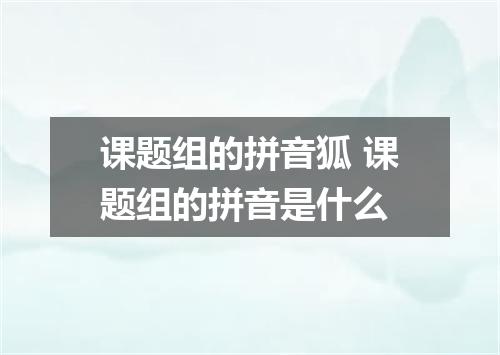 课题组的拼音狐 课题组的拼音是什么