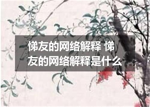 悌友的网络解释 悌友的网络解释是什么