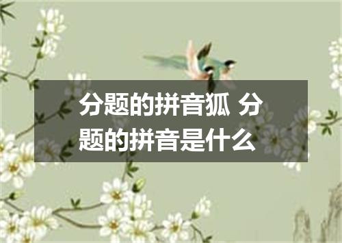 分题的拼音狐 分题的拼音是什么