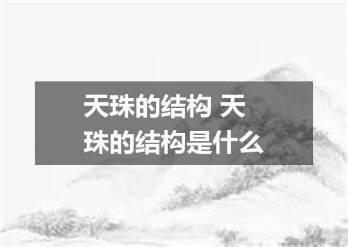 天珠的结构 天珠的结构是什么