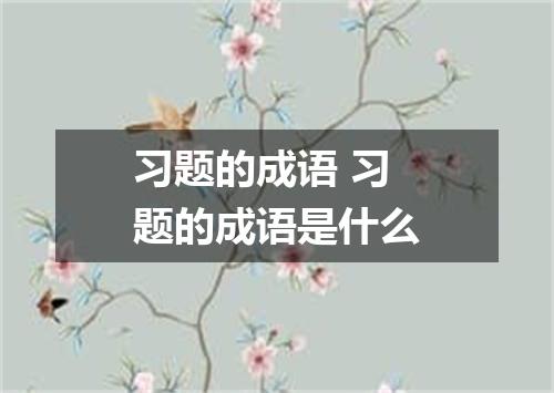 习题的成语 习题的成语是什么