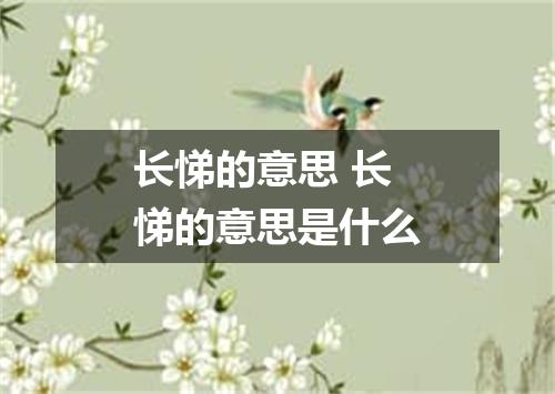长悌的意思 长悌的意思是什么