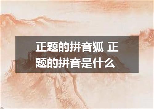 正题的拼音狐 正题的拼音是什么