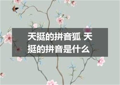 天挺的拼音狐 天挺的拼音是什么