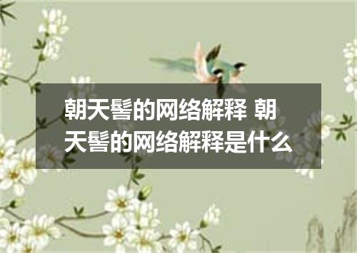 朝天髻的网络解释 朝天髻的网络解释是什么