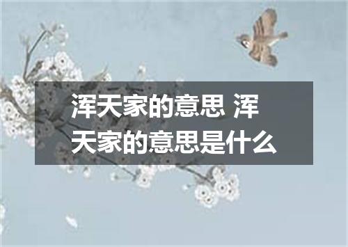 浑天家的意思 浑天家的意思是什么