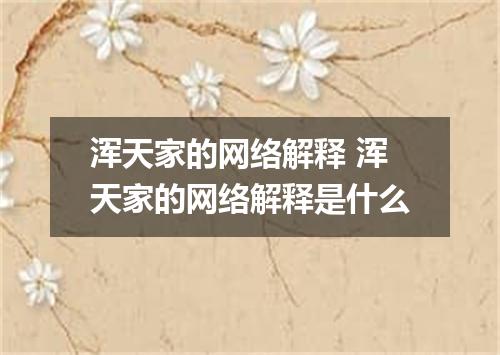 浑天家的网络解释 浑天家的网络解释是什么