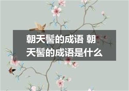 朝天髻的成语 朝天髻的成语是什么