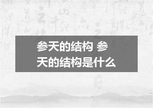 参天的结构 参天的结构是什么