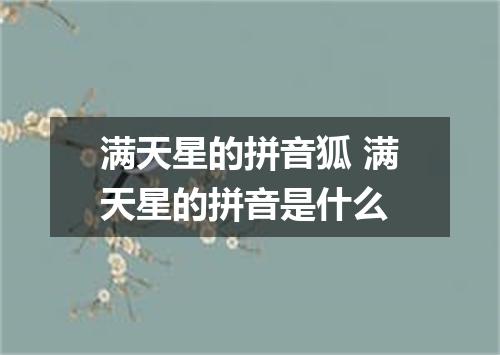 满天星的拼音狐 满天星的拼音是什么