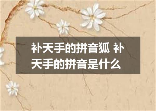 补天手的拼音狐 补天手的拼音是什么