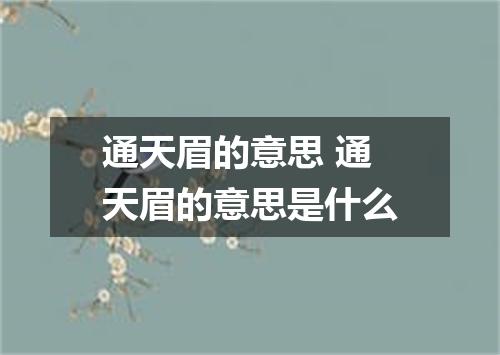 通天眉的意思 通天眉的意思是什么