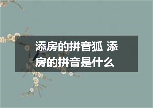 添房的拼音狐 添房的拼音是什么