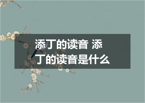 添丁的读音 添丁的读音是什么