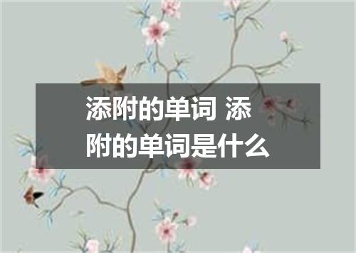 添附的单词 添附的单词是什么