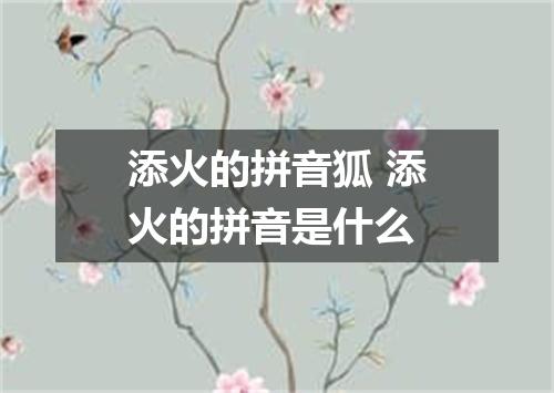 添火的拼音狐 添火的拼音是什么