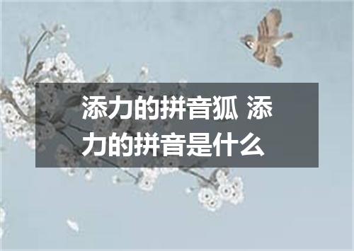 添力的拼音狐 添力的拼音是什么