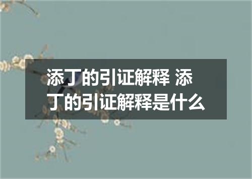 添丁的引证解释 添丁的引证解释是什么