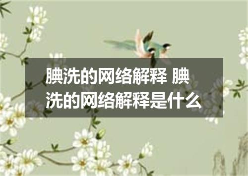 腆洗的网络解释 腆洗的网络解释是什么