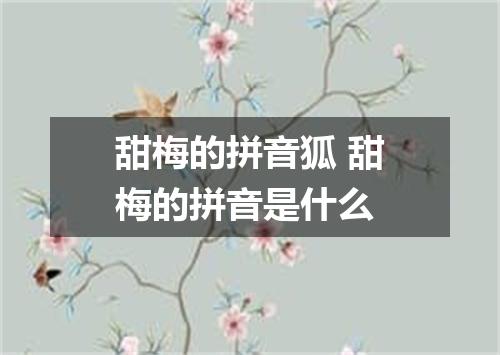 甜梅的拼音狐 甜梅的拼音是什么