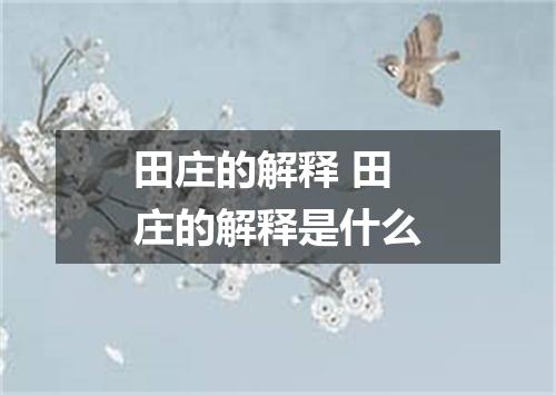 田庄的解释 田庄的解释是什么