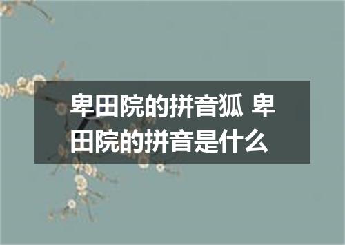 卑田院的拼音狐 卑田院的拼音是什么