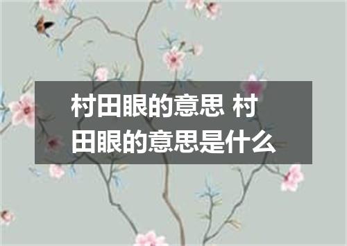 村田眼的意思 村田眼的意思是什么