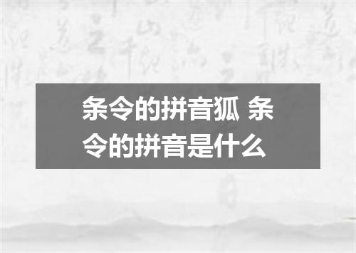 条令的拼音狐 条令的拼音是什么