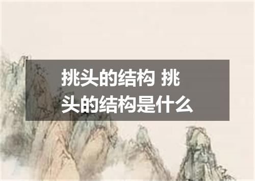 挑头的结构 挑头的结构是什么