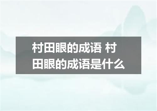村田眼的成语 村田眼的成语是什么